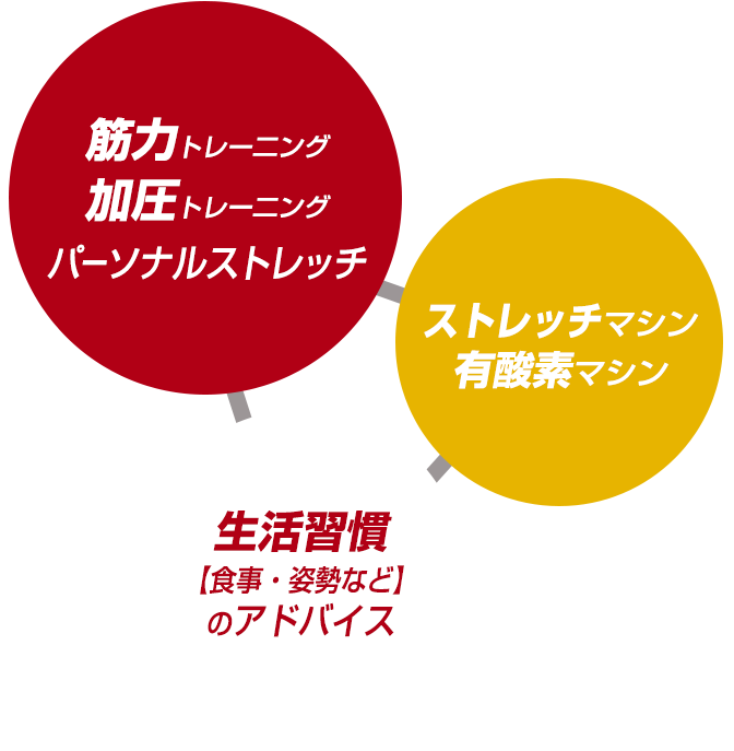 ichikawa-concept-img