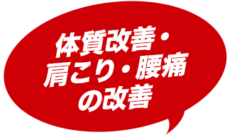 体質改善・肩こり・腰痛の改善