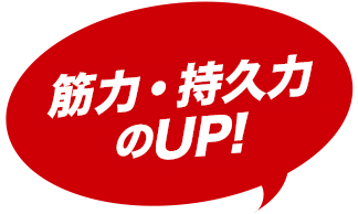 筋力・持久力のUP